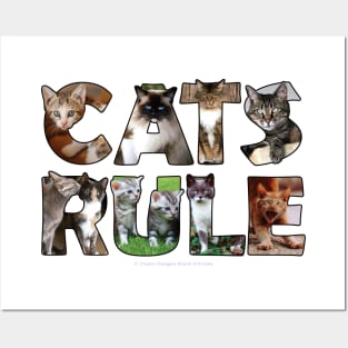 Mixed cat breed oil painting word art Posters and Art